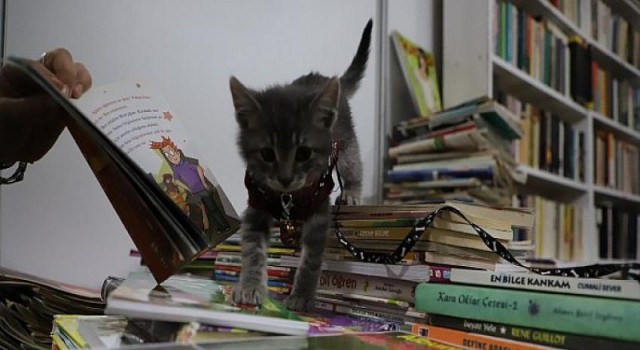 Kitap Fuarı’nın en sevimli misafiri Luna