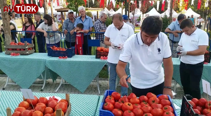 En güzel domatesler belli oldu