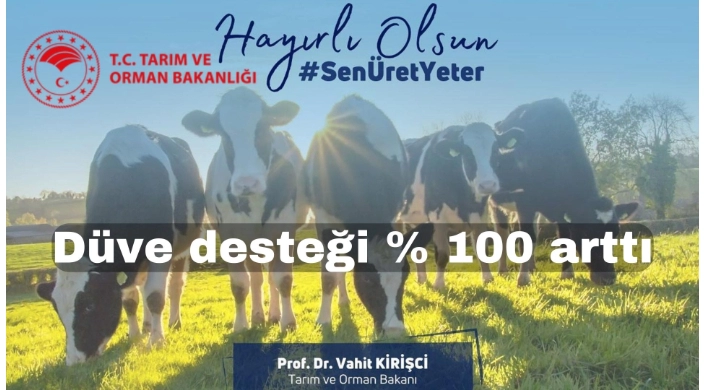 Düve Desteği yüzde 100 arttı