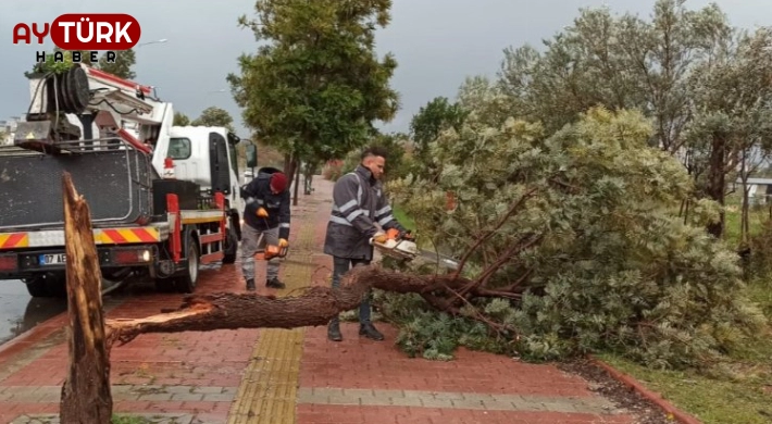 Antalya’yı fırtına vurdu