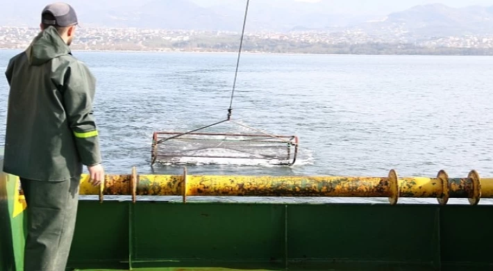 İzmit Körfezi’nde deniz yaşamı kayıt altında