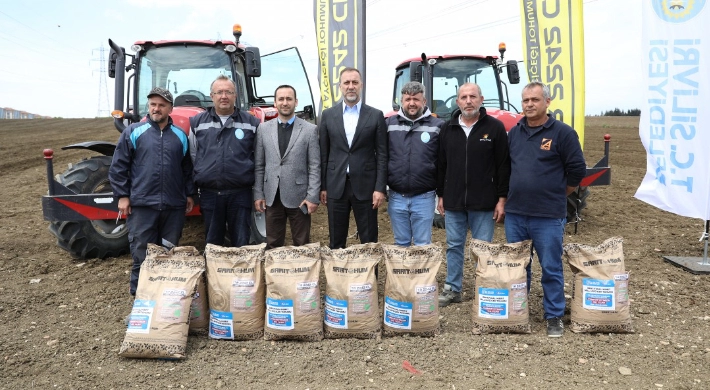 Silivri Belediyesi bu sene de 1000 dönüm arazisine milli ayçiçeği ekiyor