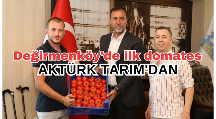 Değirmenköy'de yılın ilk domatesini yetiştiren Aktürk Tarım oldu