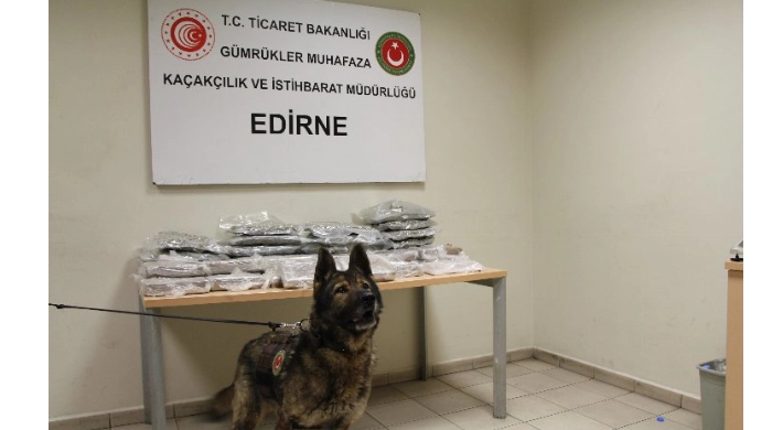 Kapıkule’de 33 kilogram uyuşturucu yakalandı