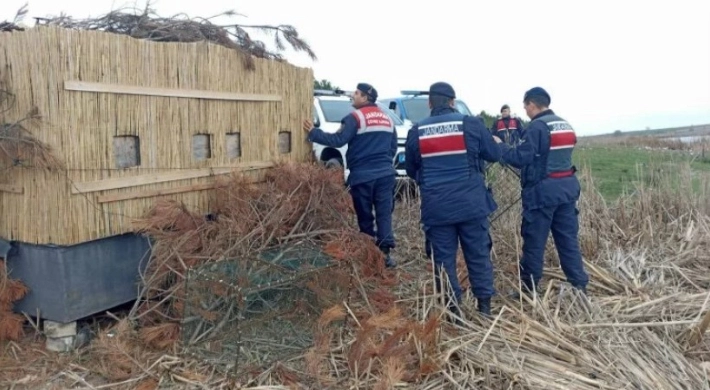 Edirne Jandarması'ndan yasak avcılık operasyonu!