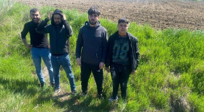 Edirne’de 4 göçmen yakalandı