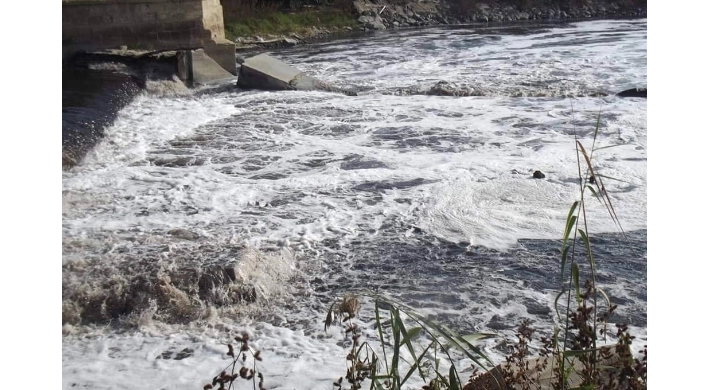 Ergene Nehri’ndeki kirlilik çevre felaketine dönüştü