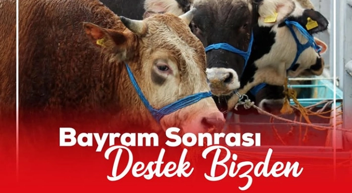 Et ve Süt Kurumu, Satılamayan ve Karantina Nedeniyle Pazara Çıkamayan Kurbanlıkları Satın Alacak