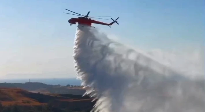 İzmir Aliağa’daki orman yangını kontrol altına alındı