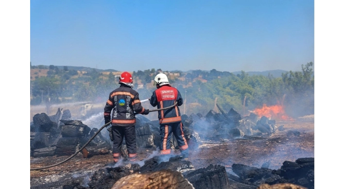 Sakarya Söğütlü’deki orman yangını kontrol altına alındı
