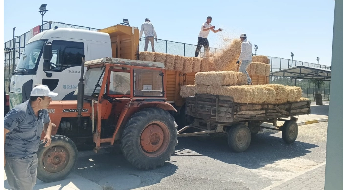 Başkan Balcıoğlu’ndan Hayvancılıkla Uğraşan Çiftçilere Saman Desteği