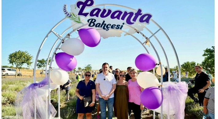 Geleneksel Lavanta Hasat Şenliği gerçekleşti