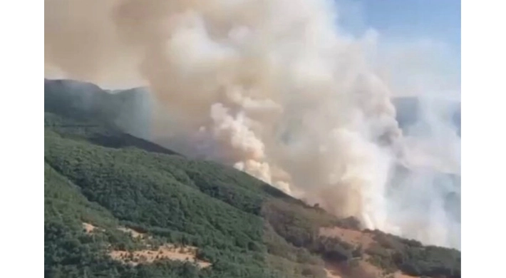İzmir Bergama’daki yangın kontrol altında... Bilecik ve Sakarya’da müdahale sürüyor