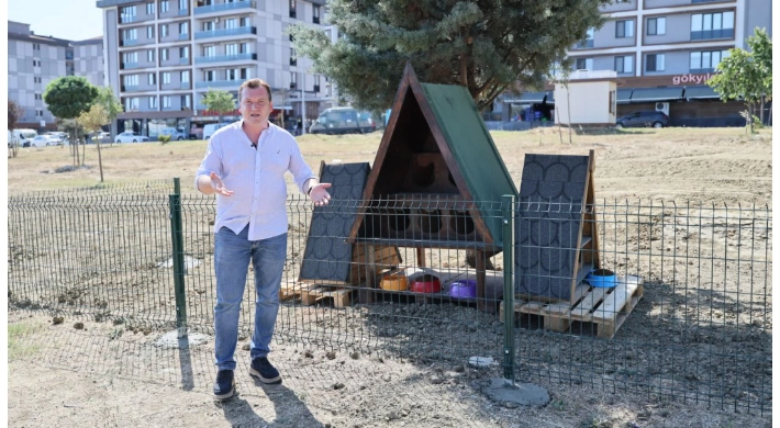 Silivri Belediyesi’nden Sokak Kedileri İçin Yeni ve Güvenli Kedi Evleri