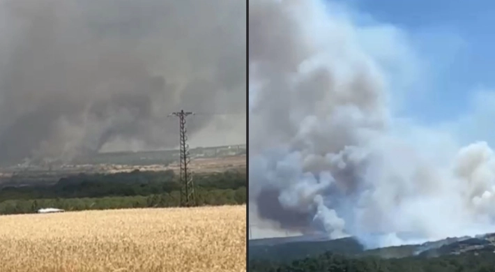 Silivri Çanta Çamlık’ta Orman Yangını!