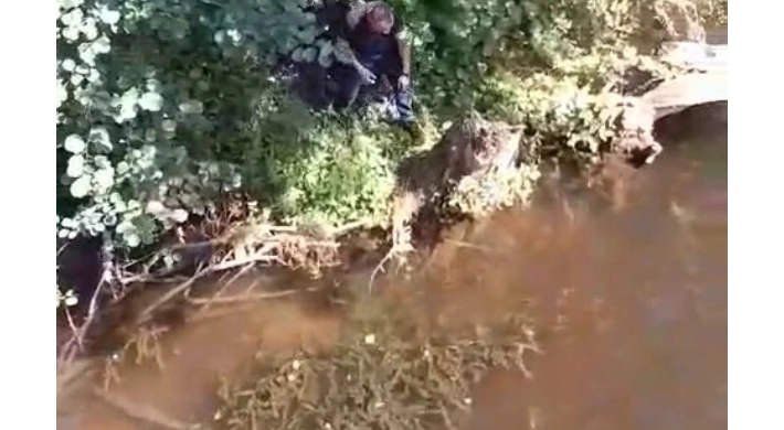 Çatalca’da mahsur kaplumbağa itfaiye tarafından kurtarıldı