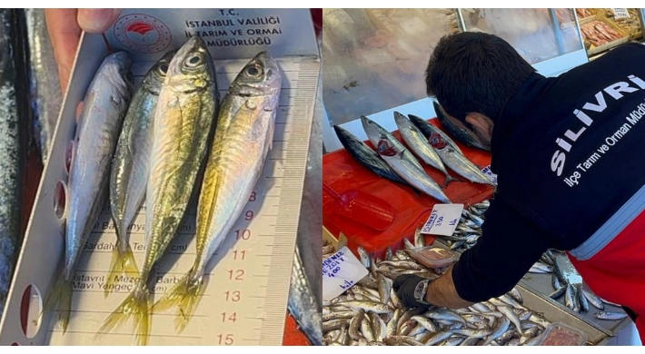 Silivri’de Balık Denetimleri Sürüyor