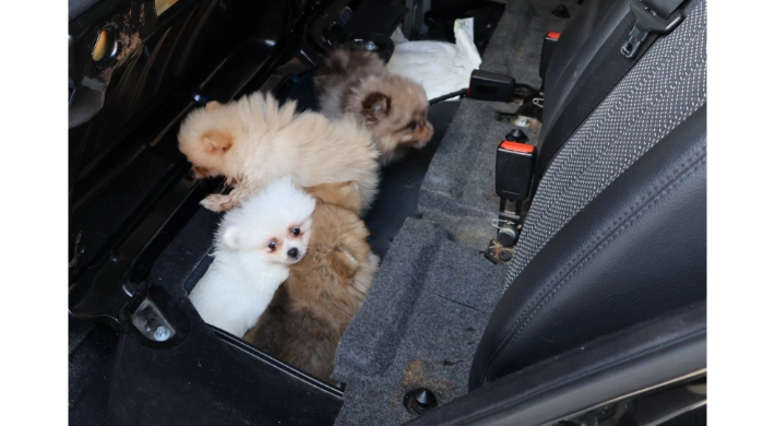 Kapıkule’de araçta gizlenen 5 yavru köpek ele geçirildi