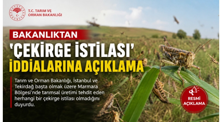 Tarım ve Orman Bakanlığı'ndan 'çekirge istilası' iddialarına açıklama
