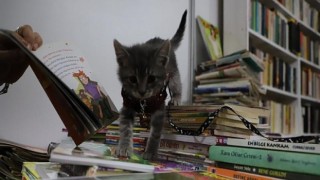 Kitap Fuarı’nın en sevimli misafiri Luna