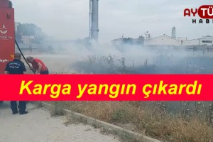 Karga yüzünden çıkan yangın söndürüldü