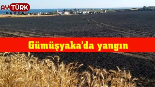 Gümüşyaka'da 100 dönümden fazla ekin yandı
