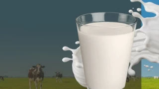 Çiğ süt zammına ’destek primi’ katkısı