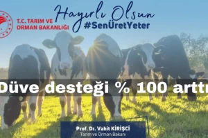 Düve Desteği yüzde 100 arttı