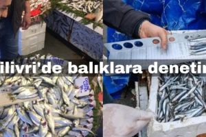 Silivri'de yasaklı balık denetimi