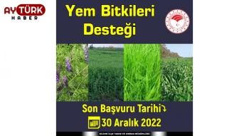 Yem Bitkileri Desteği için son başvuru tarihi 30 Aralık 2022