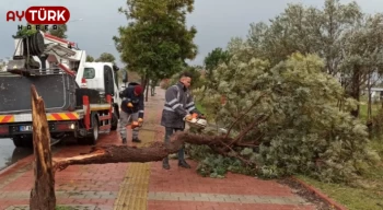 Antalya’yı fırtına vurdu