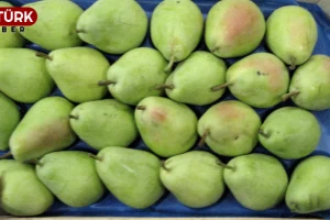 Değirmenköy Pazarı meyve ve sebze fiyatları (04.01.2023)