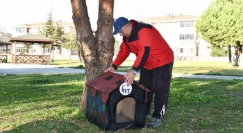 Mustafakemalpaşa Belediyesinden Kedi Evi Projesi