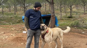 Antalya Büyükşehir Belediyesi veterinerleri Gaziantep’te