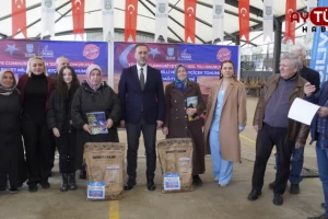 Değirmenköy'de 250 kişiye Milli Hibrit Ayçiçek Tohumu Dağıtıldı