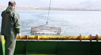 İzmit Körfezi’nde deniz yaşamı kayıt altında