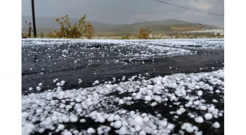 Edirne’de 16 bin dekarda dolu zararı