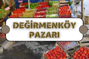 Değirmenköy Pazarı meyve ve sebze fiyatları (05.07.2023)