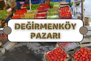 Değirmenköy Pazarı meyve ve sebze fiyatları (26.07.2023)
