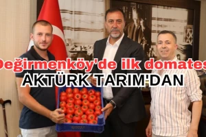 Değirmenköy'de yılın ilk domatesini yetiştiren Aktürk Tarım oldu