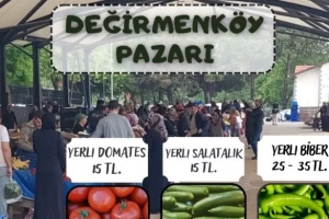 Değirmenköy Pazarı meyve ve sebze fiyatları (09.08.2023)