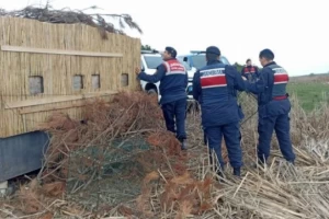 Edirne Jandarması'ndan yasak avcılık operasyonu!