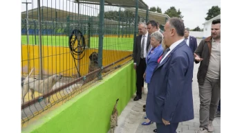 CHP’li Yontar’dan Çorlu’da ’Hayvan Bakım Evi’ne ziyaret