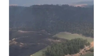 Bolu ve Bilecik’te yangınlar kontrol altında! Sakarya ve Manisa’dan sevindirici haberler bekleniyor