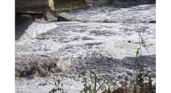 Ergene Nehri’ndeki kirlilik çevre felaketine dönüştü