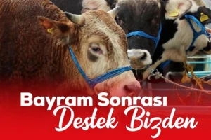 Et ve Süt Kurumu, Satılamayan ve Karantina Nedeniyle Pazara Çıkamayan Kurbanlıkları Satın Alacak
