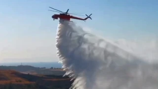 İzmir Aliağa’daki orman yangını kontrol altına alındı