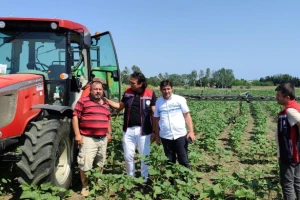 SİLİVRİ'DE AYÇİÇEK TARLALARINA ZİRAİ DENETİM