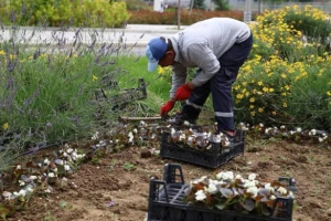 Silivri’de Yaz Aylarına Hazırlıklar Devam Ediyor!