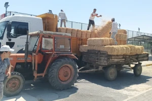 Başkan Balcıoğlu’ndan Hayvancılıkla Uğraşan Çiftçilere Saman Desteği